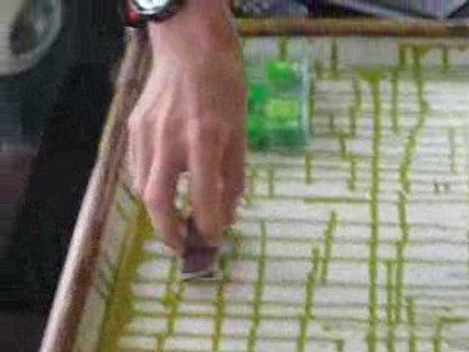 fingerskate