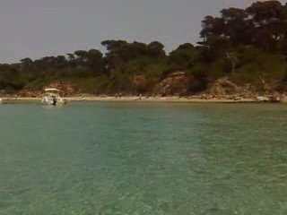 bateaplages de sables fins et pinedes provencale porquerolle