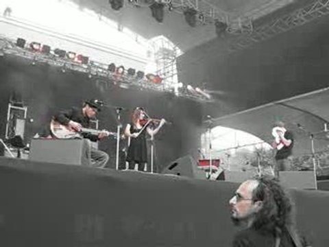 Narrow Terence @ Rock en Seine 2008 -