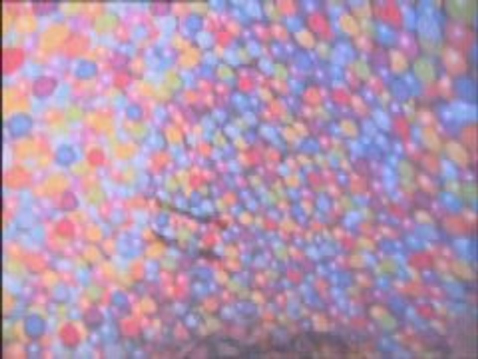 Eurodisney : La Haut, le nouveau dessin animé Disney Pixar