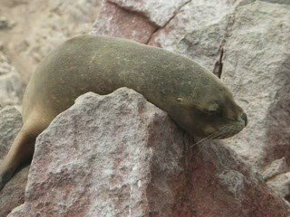 PERU VACATIONS