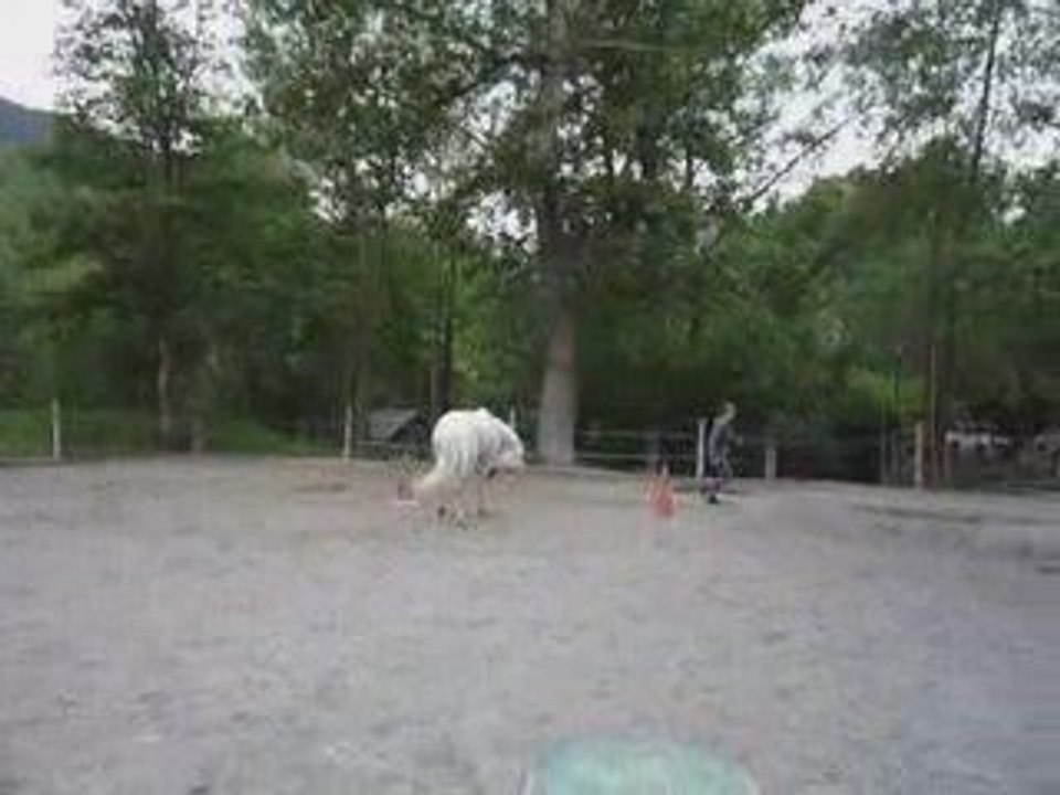 Petit montage des mes activités et spectacles