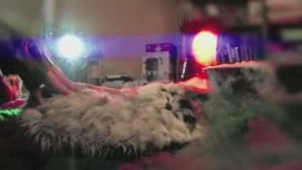 Kitten Remix (Boring vs. Normal)