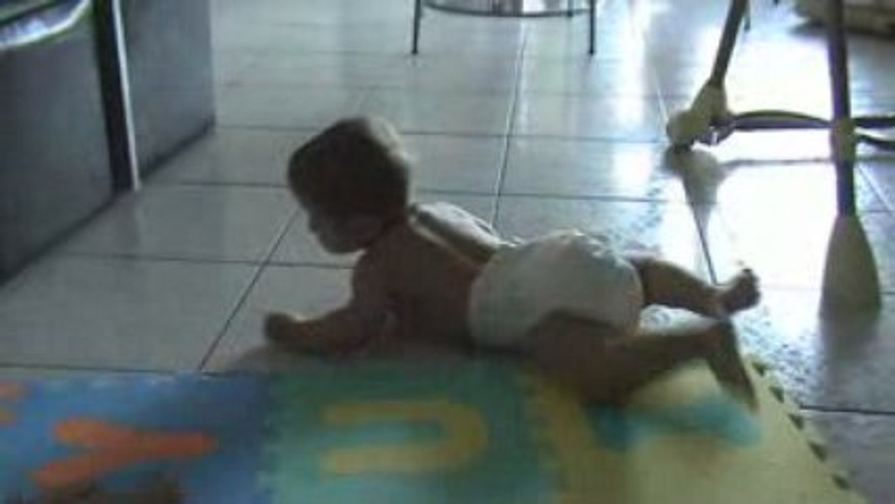 Gabin 4 pattes