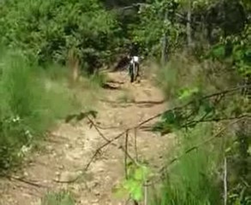 beta derbi enduro