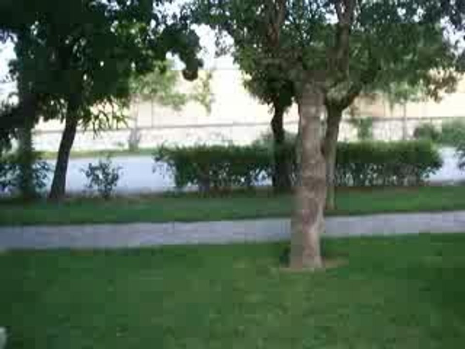 wall flip new 2