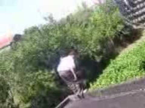 saut dans les buissons