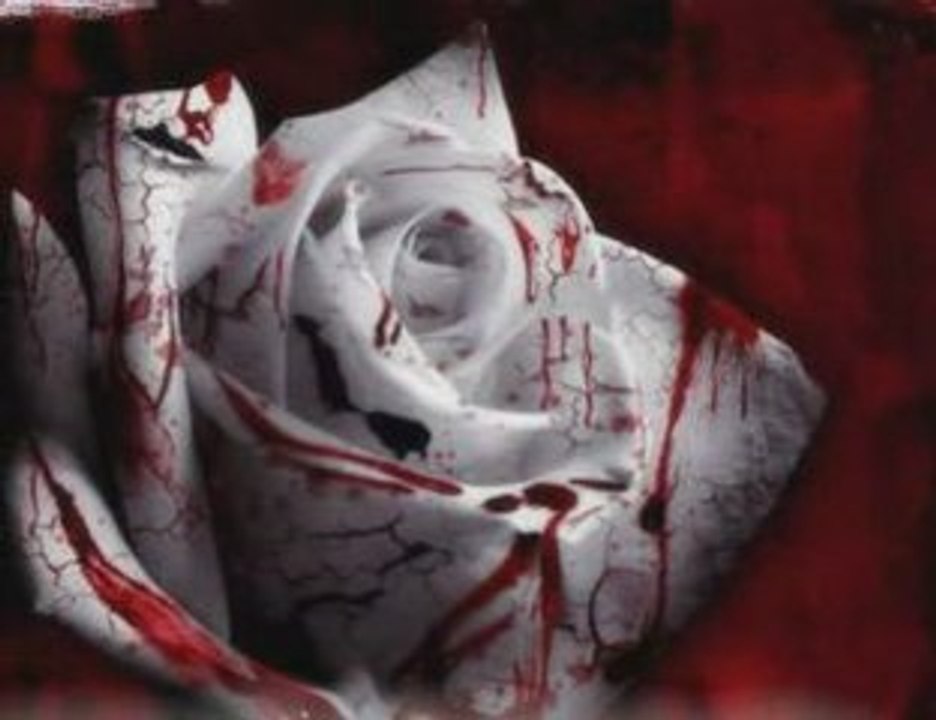 Gülsen Senol - Sevin Gayri