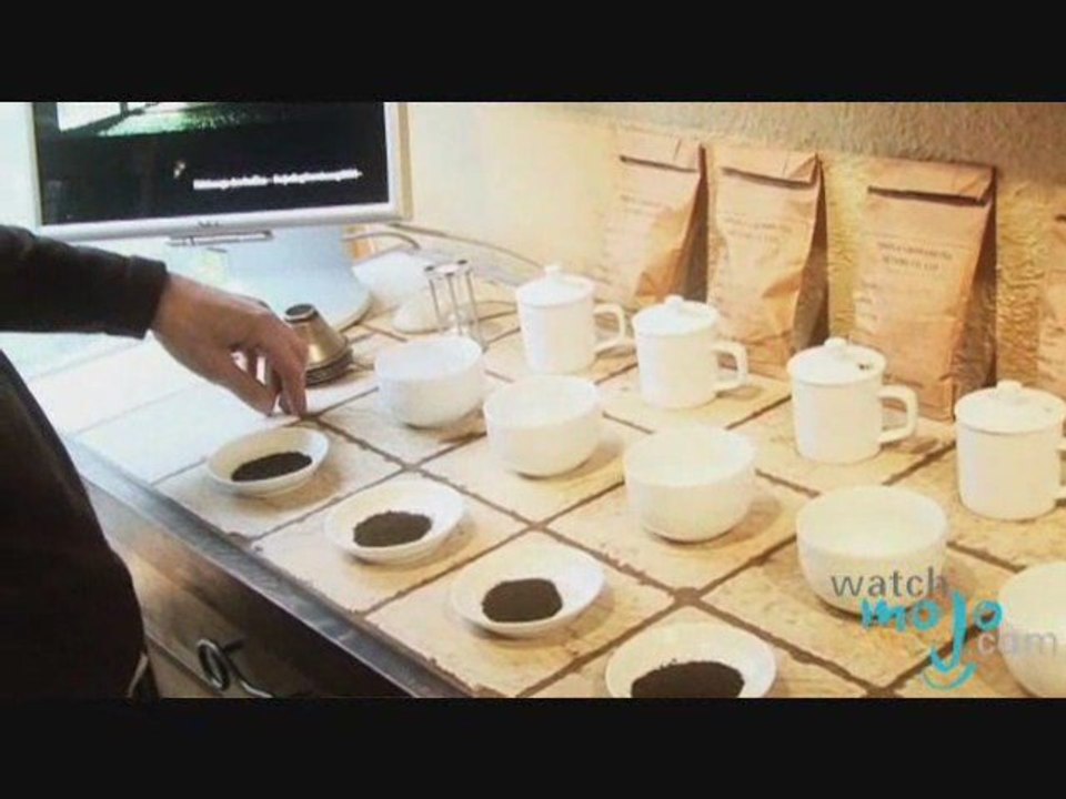 Everything You Need to Know About Tea