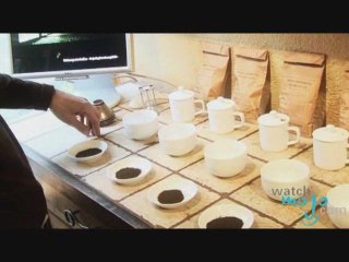 Everything You Need to Know About Tea