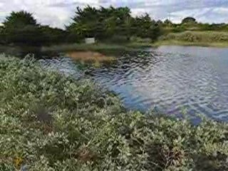 Au bout du jardin, à marée haute