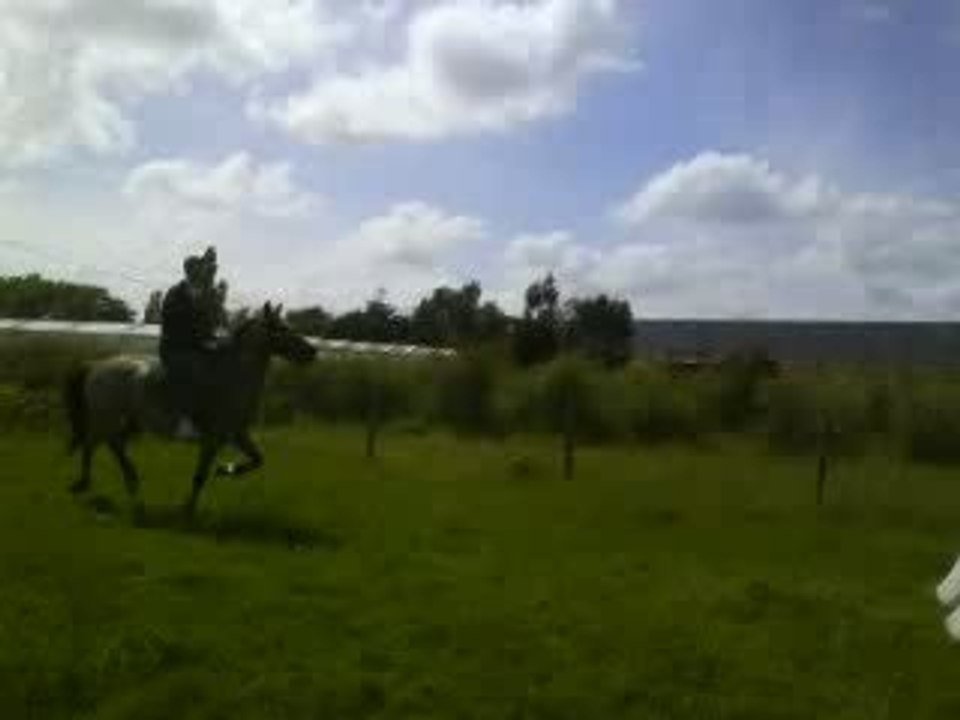 Pin-up à l'obstacle