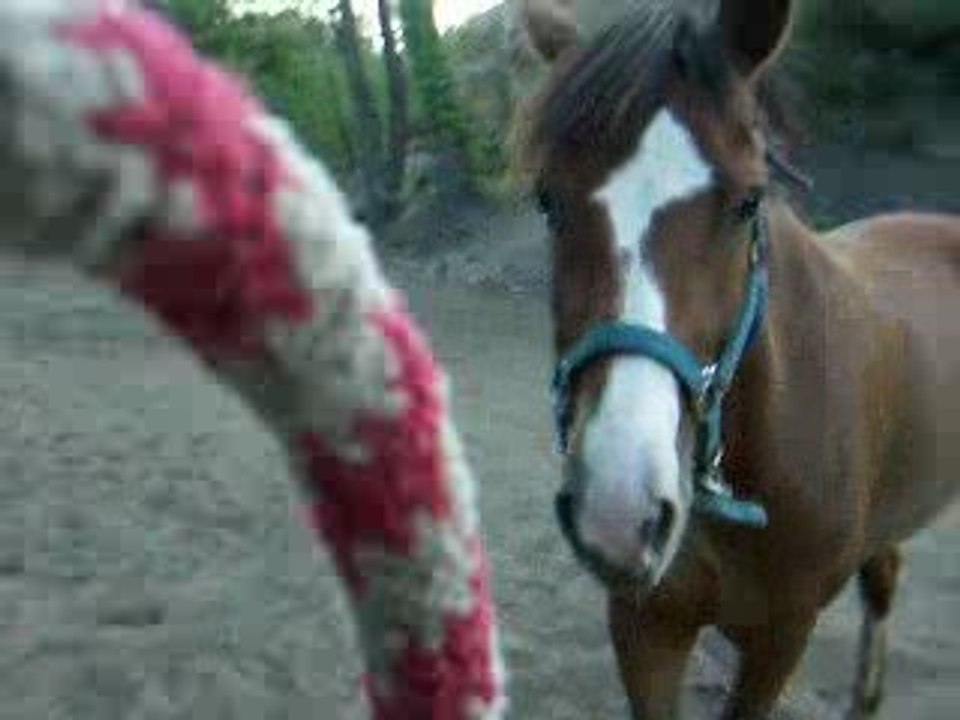 Apres l'effort le reconfort