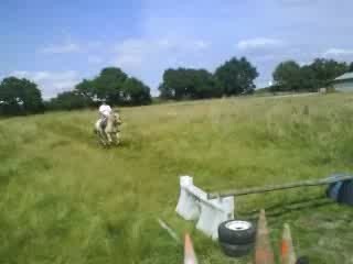 Nabuco saut d'obstacle