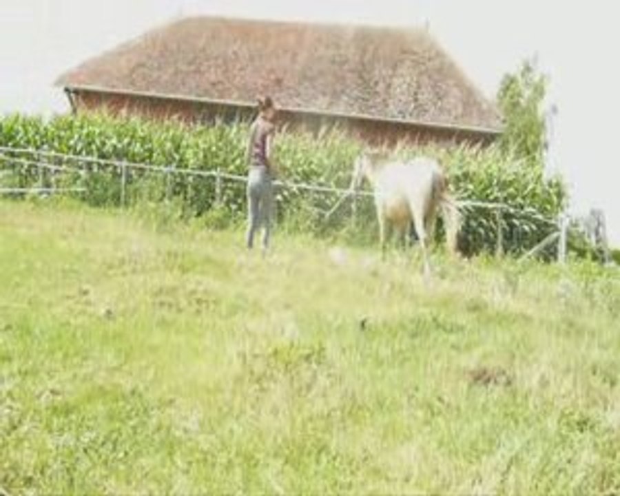 Tango, Longé, première fois