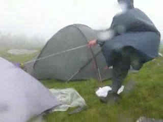 Cod galben in Fagaras