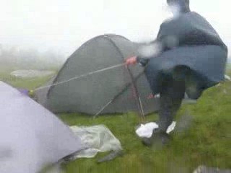 Cod galben in Fagaras