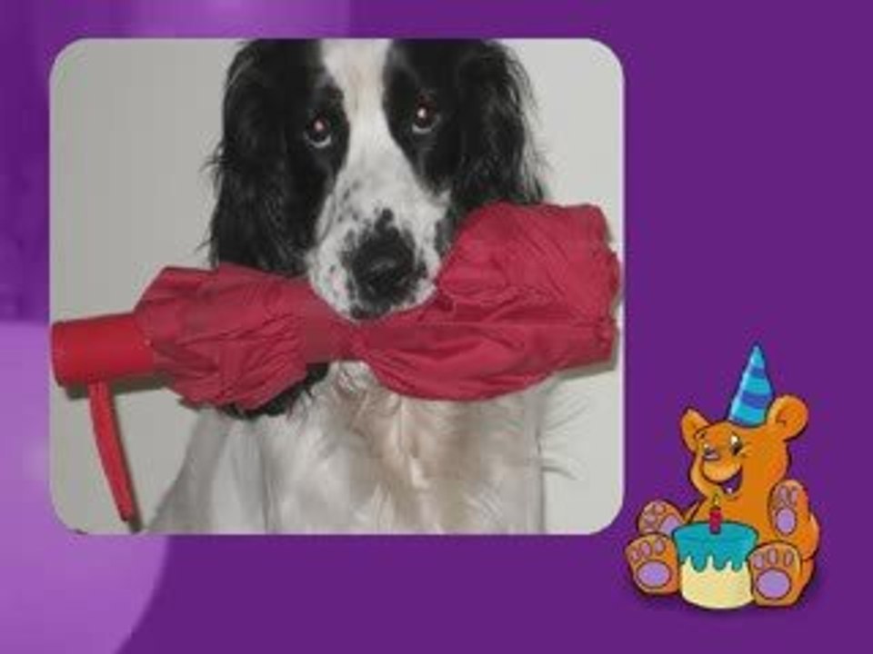 Hugo wants to go for a walk