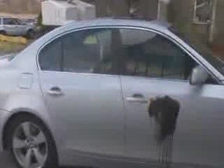 Car Cleaning - Mobile Car Wash Equipment for Car Cleaning