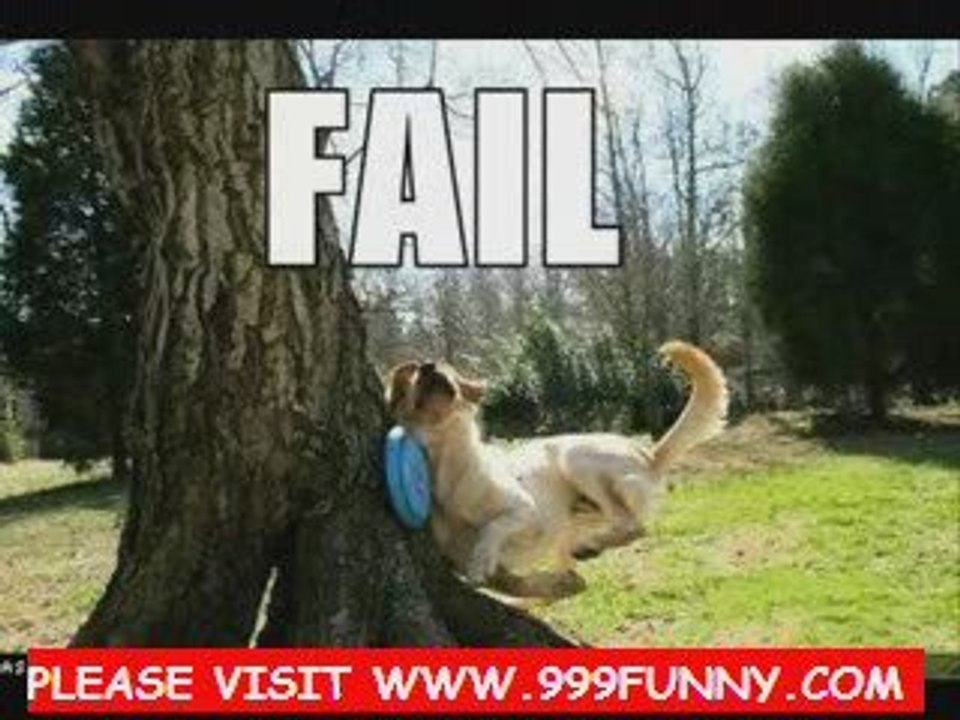 Sparky the Crazy Dog