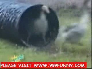 Stupid people making stupid things