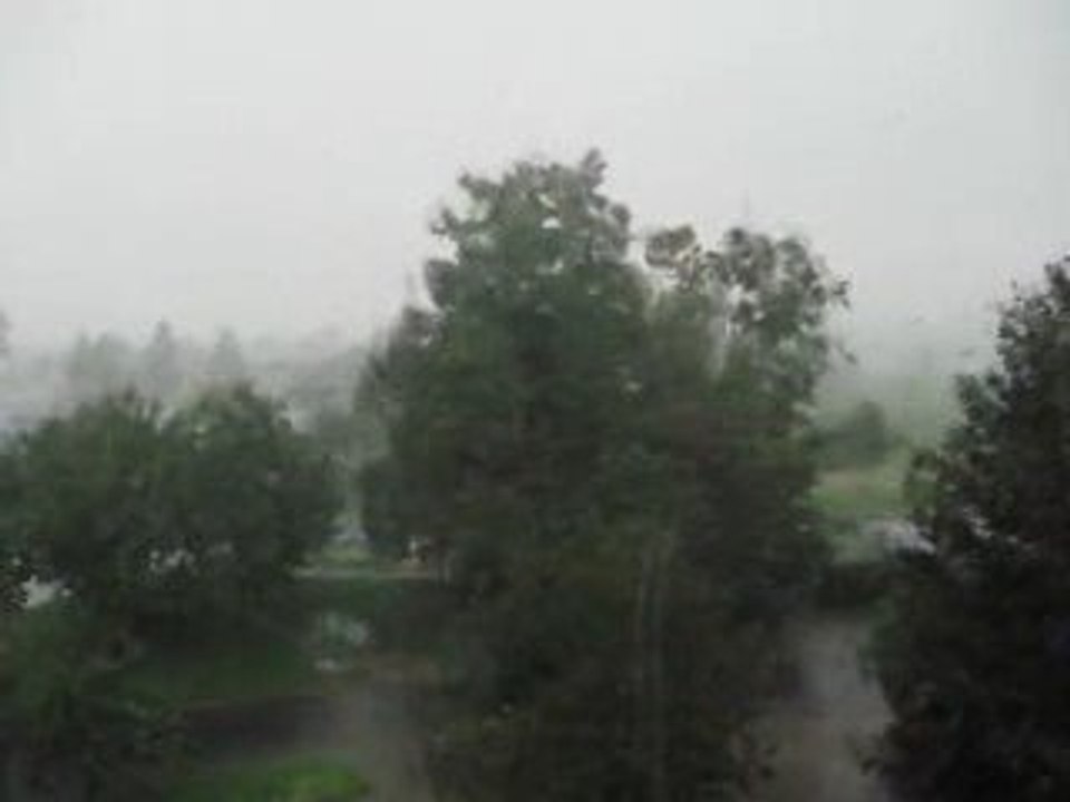 burza. Legnica