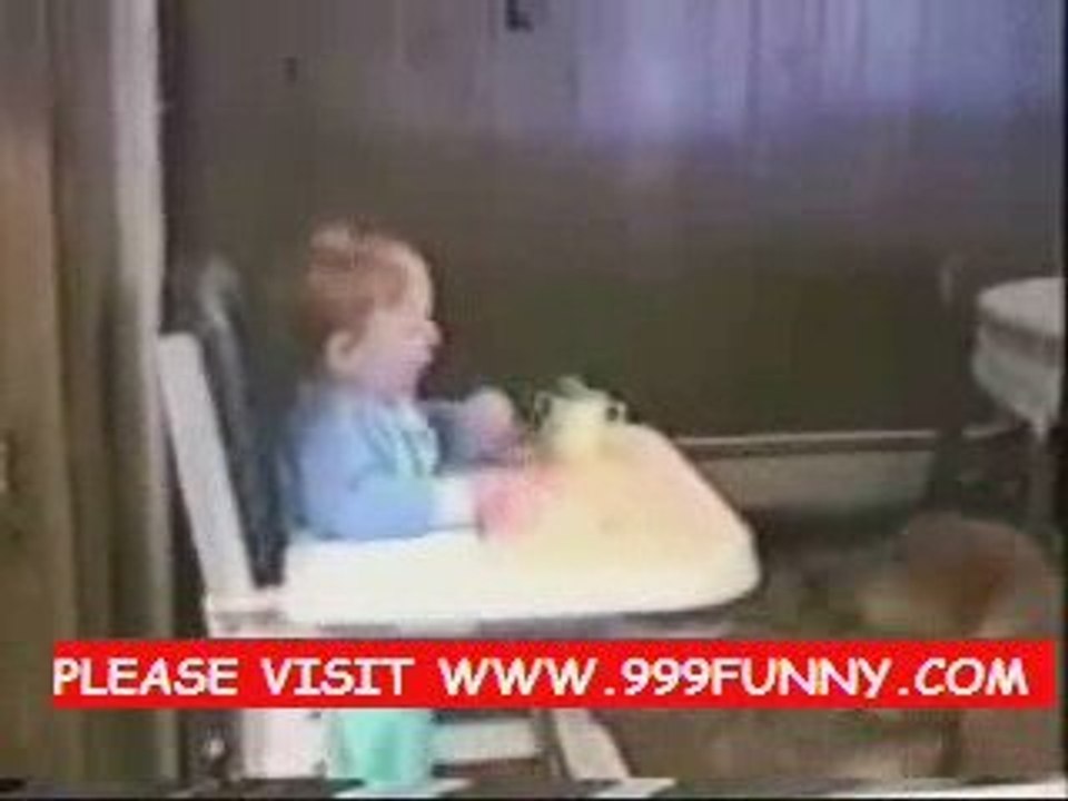 funny dog playing the children