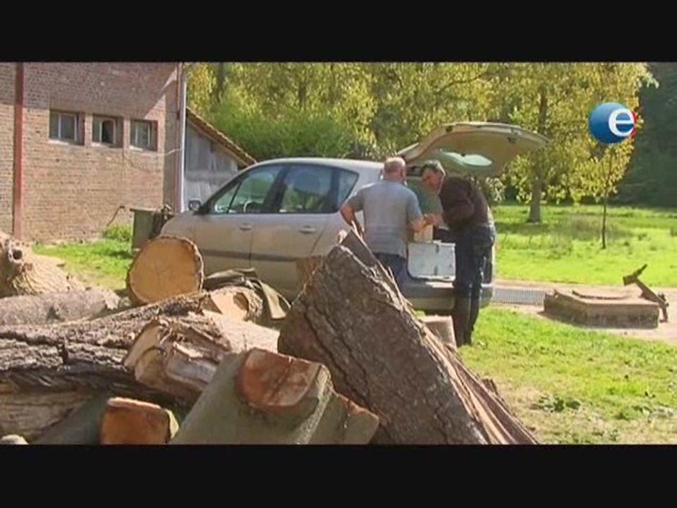 Veterinaire en milieu rural
