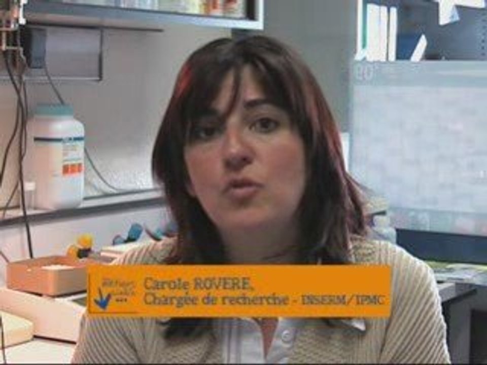 Métiers de la science au CNRS et dans ses UMR - C.Rovere