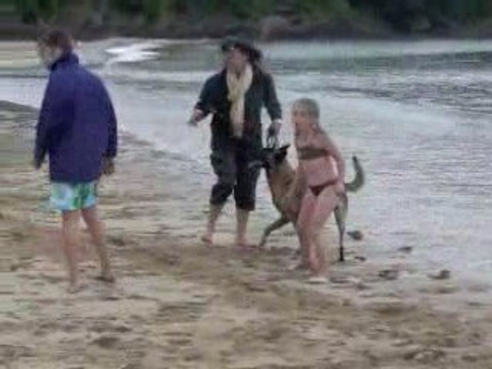 Vacances Eragon Bretagne 2009