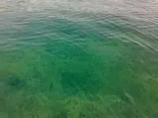 eau transparente de six fours embiez