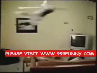 the funny bike accident and cat cycling in the fan