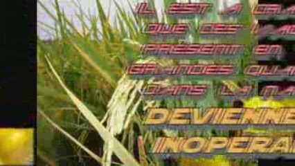 l'alimentation part 2 OGM