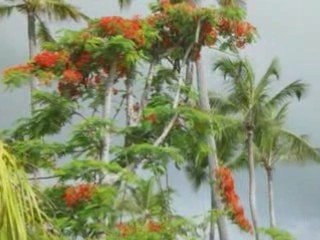 Từ Khi Anh Thôi Học-Tiếng Hát Băng Châu