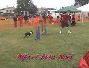 Obernaumen 2009 - Jumping