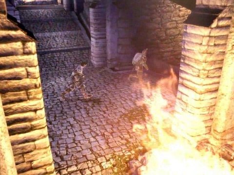 Dragon Age Origins - The Human Noble