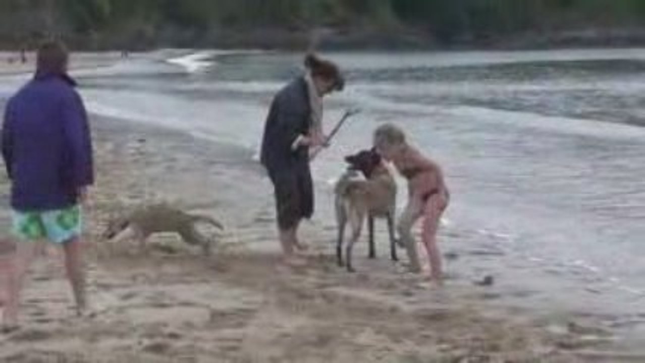 Vacancs Eragon Bretagne 2009 (grand)