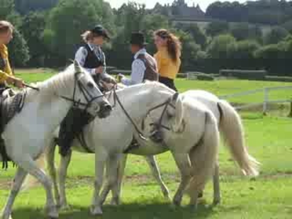 danse de chevaux de danse de chevaux de Camargue