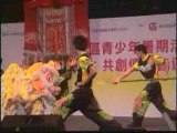 Human Mobile Stage 45A, HK Youth Assn Kung Fu Lion  Dance
