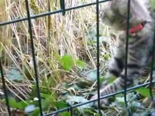 En route vers la liberté...