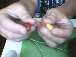 changement de couleur d'un objet + éxplication