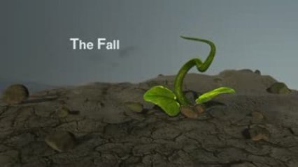 The Fall (Artistic 3D animation)