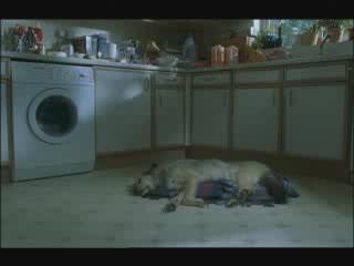 PS2 Commercial - Dreaming Dog
