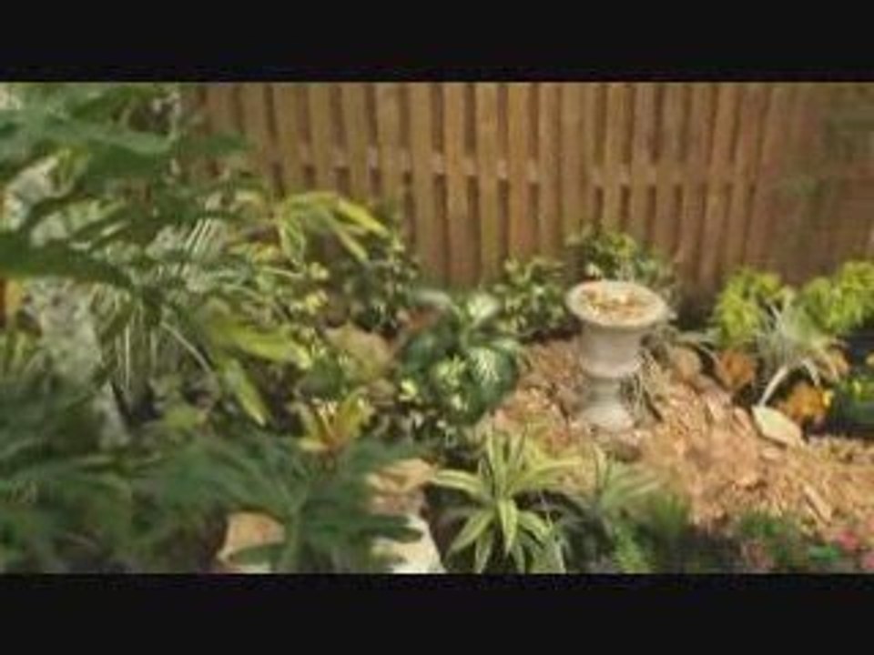 How to Design & Plan a Water Efficient Back Yard Landscape