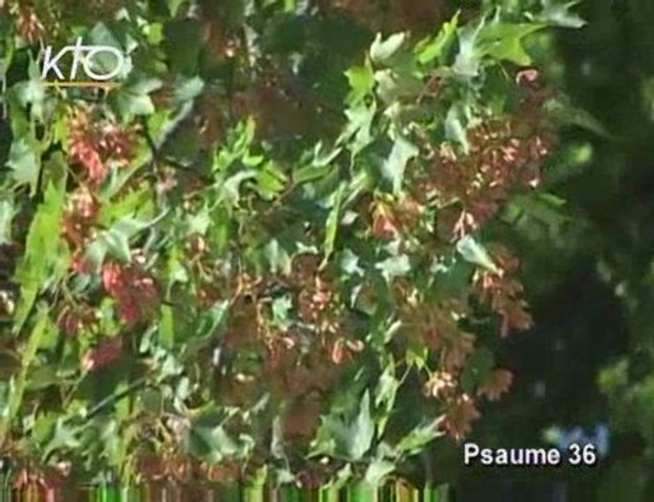 Psaume 36 A