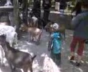 biketpalmyreété09bis