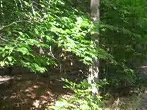 Buy Land Louisa, Land Sale Louisa, Land For Sale Louisa