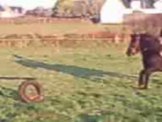 Encore un petit saut