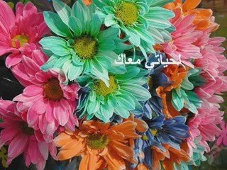 Fatet Senin: An Islamic Victory Verse ✨