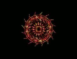 Les arrays, c'est magique.